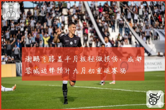 谢鹏飞膝盖半月板轻微损伤,成都蓉城边锋预计九月初重返赛场