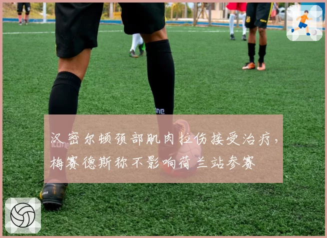 汉密尔顿颈部肌肉拉伤接受治疗,梅赛德斯称不影响荷兰站参赛
