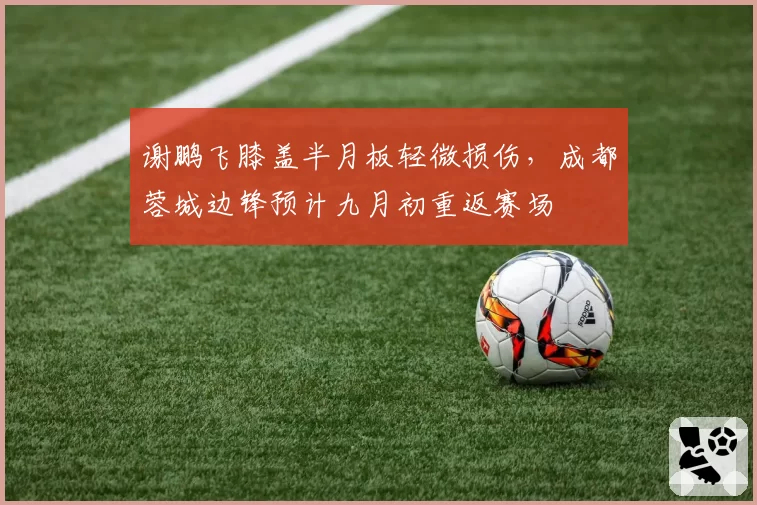 谢鹏飞膝盖半月板轻微损伤,成都蓉城边锋预计九月初重返赛场